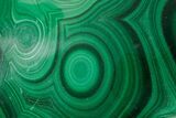 Flowery Polished Malachite Specimen - DR Congo #360787-1